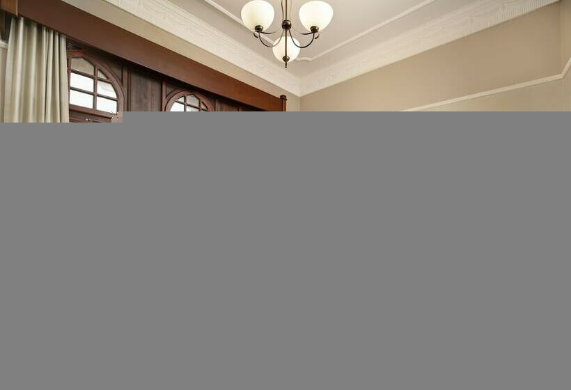 اتاق دلوکس با تخت کینگ و چشمانداز شهر, Legacy Ottoman