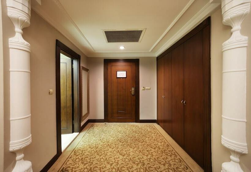 اتاق دلوکس با تخت کینگ و چشمانداز شهر, Legacy Ottoman