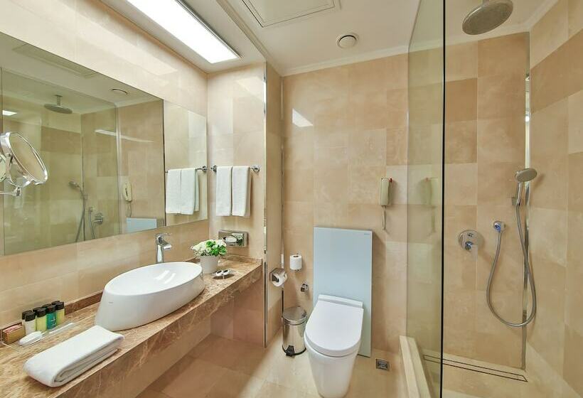 اتاق دلوکس با تخت کینگ و چشمانداز شهر, Legacy Ottoman