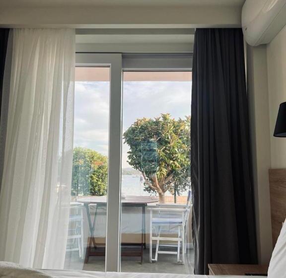 주니어 스위트, Rozos