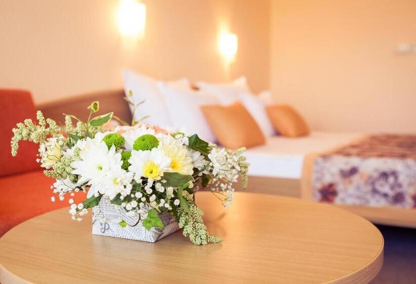 标准间带游泳池, Wela Premium All Inclusive