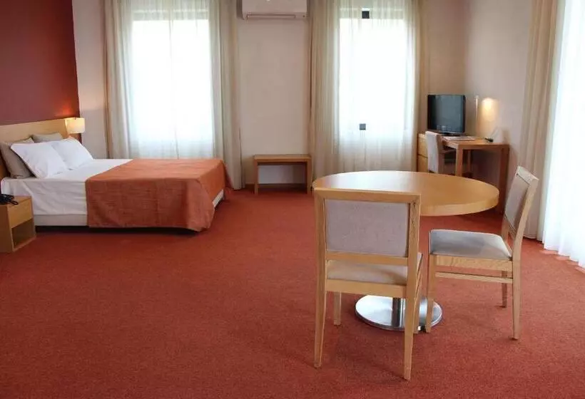 スタンダードシングルルーム, Paredes Hotel Apartamento