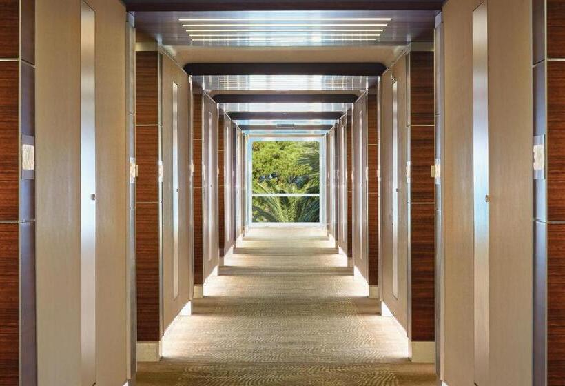 اتاق اجرایی, Swissotel Buyuk Efes Izmir