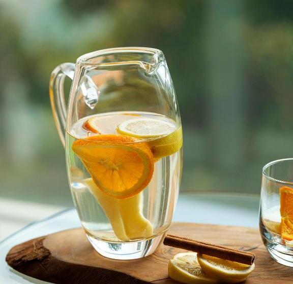 اتاق کلاسیک با چشمانداز باغ, Swissotel Buyuk Efes Izmir