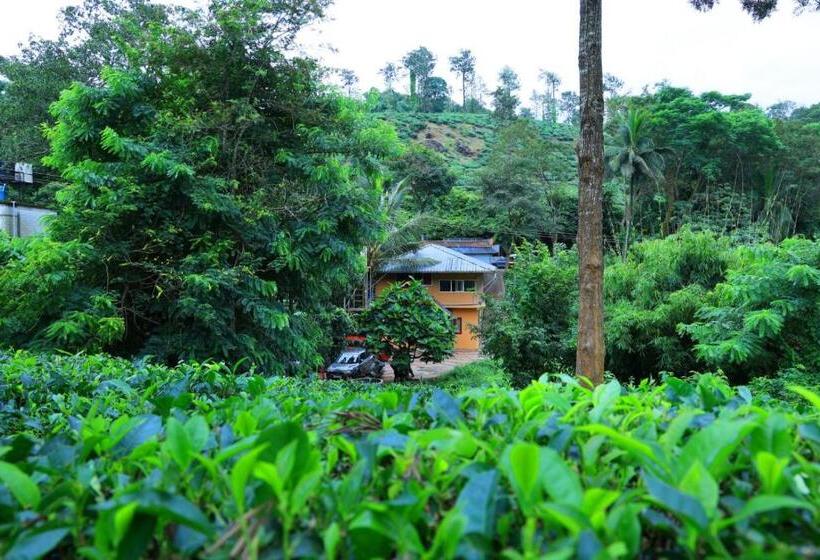 家庭间, Green Holidayhome