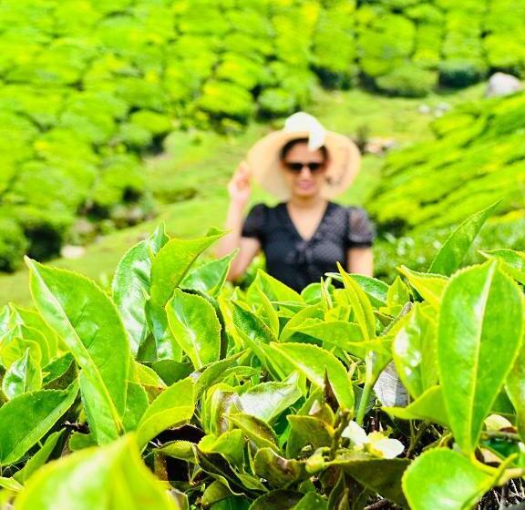 1间卧室的房子, Green Holidayhome