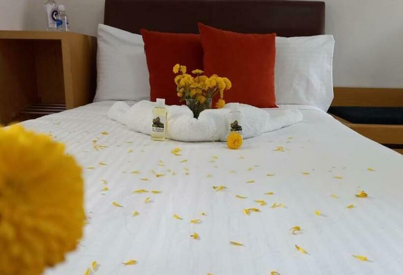 豪华房间, Club Campestre El Eden