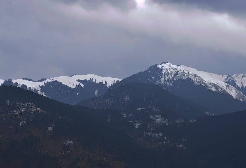 غرفة عائلية, One Earth Heritage