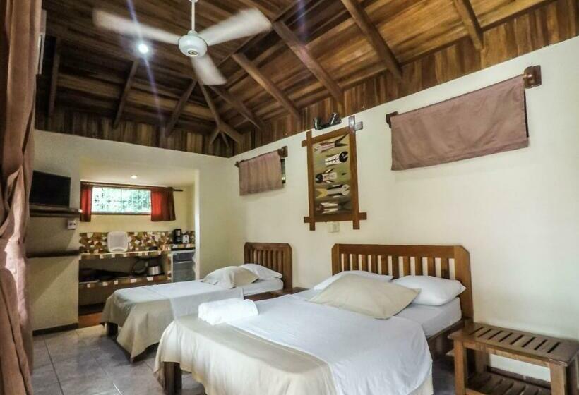 إستوديو قياسى, Ritmo Tropical   Pool And Breakfast