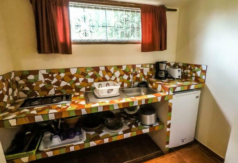 إستوديو قياسى, Ritmo Tropical   Pool And Breakfast