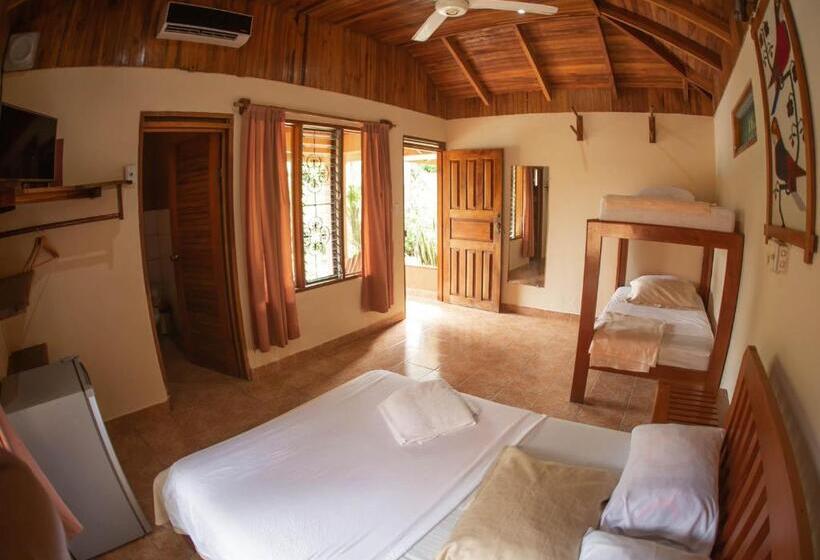 بنجلو عائلى, Ritmo Tropical   Pool And Breakfast