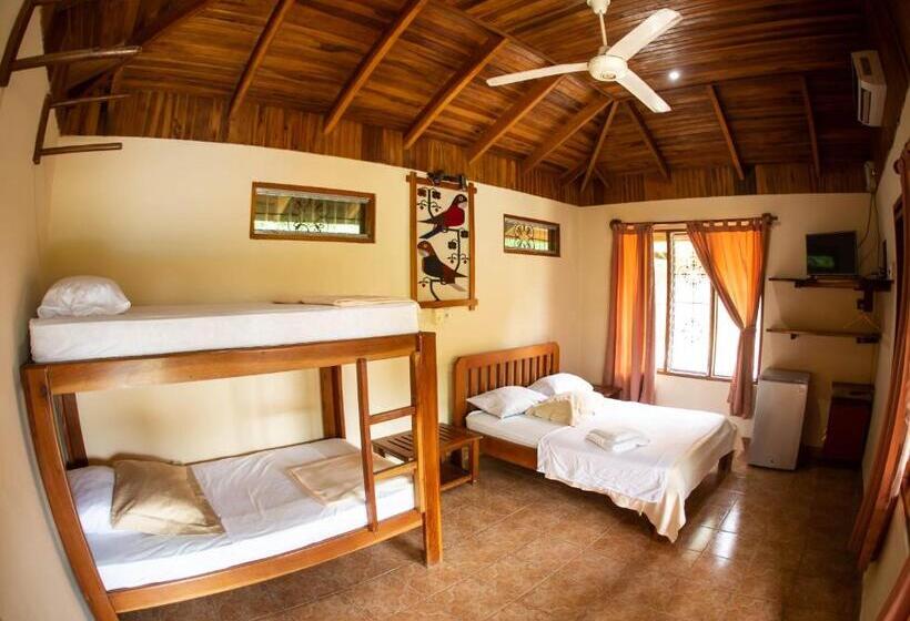 بنجلو عائلى, Ritmo Tropical   Pool And Breakfast