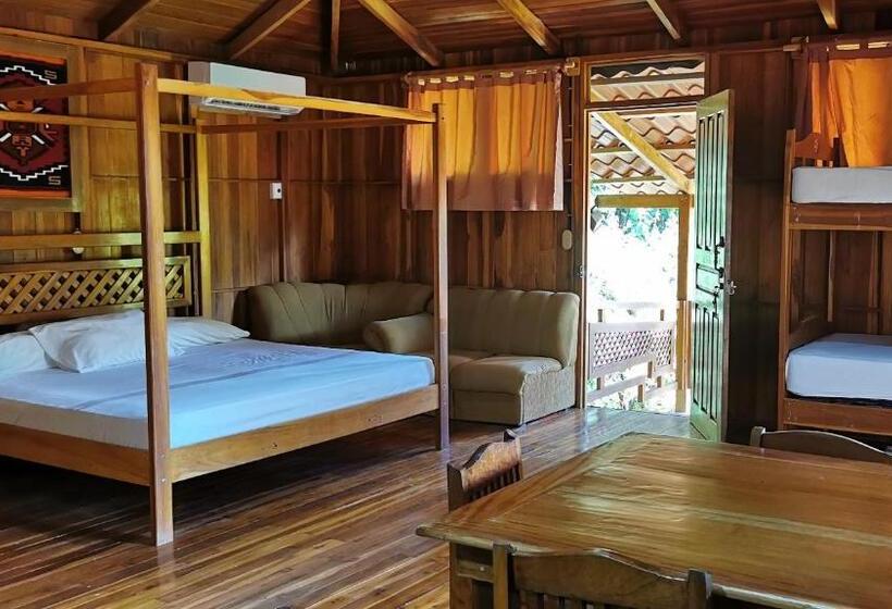 إستديو قياسى مزود بشرفة, Ritmo Tropical   Pool And Breakfast