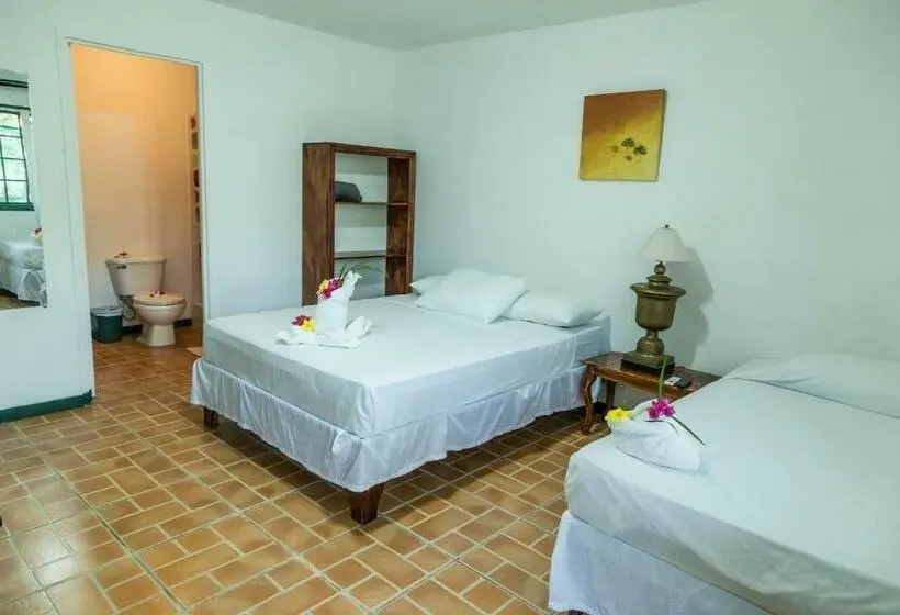 スタンダードトリプルルーム, La Puesta Del Sol B&b