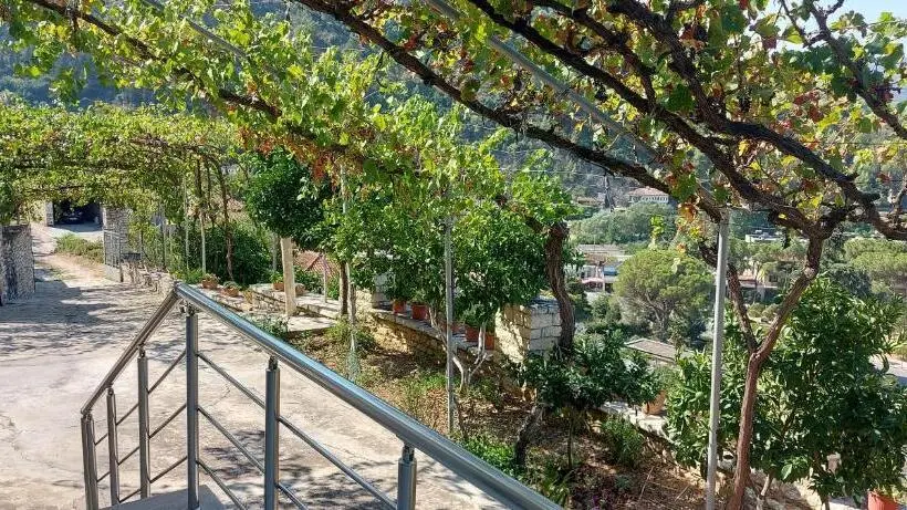 اتاق استاندارد با چشم‌انداز کوهستان, Green Forest
