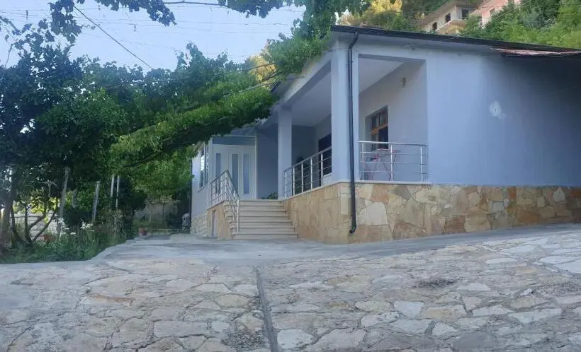 اتاق استاندارد, Green Forest