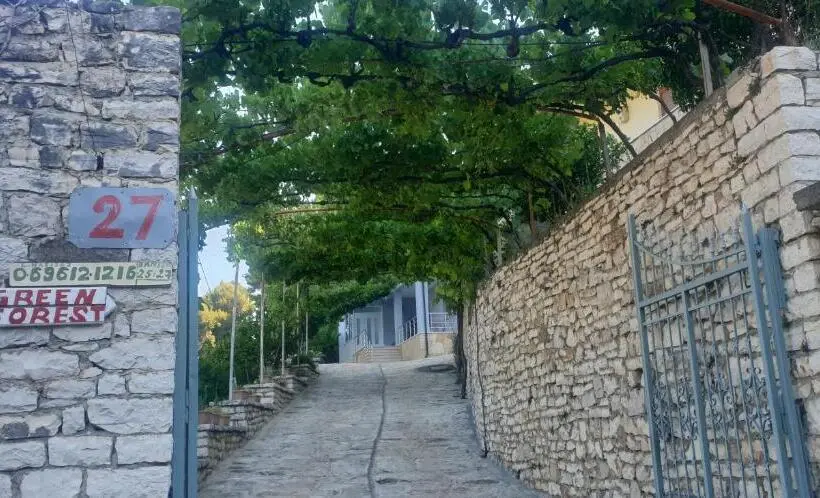 اتاق استاندارد, Green Forest