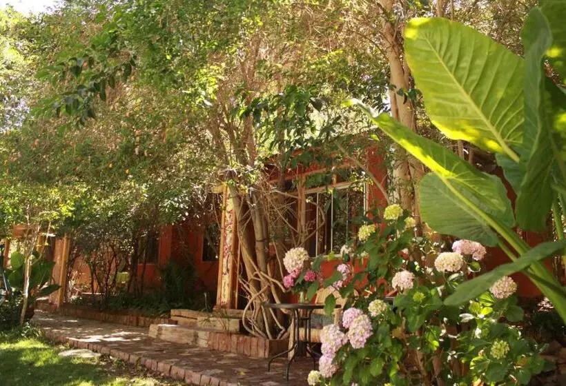 プールの見えるスタンダードトリプルルーム, El Jardín Secreto Pisco Elqui