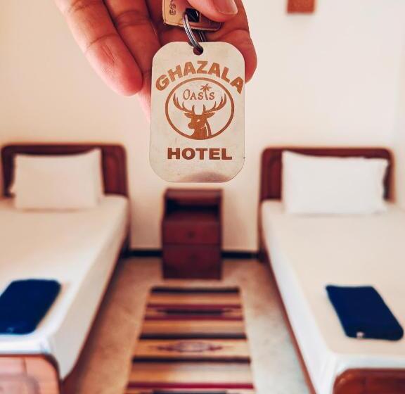 اتاق استاندارد یک نفره, Ghazala Oasis