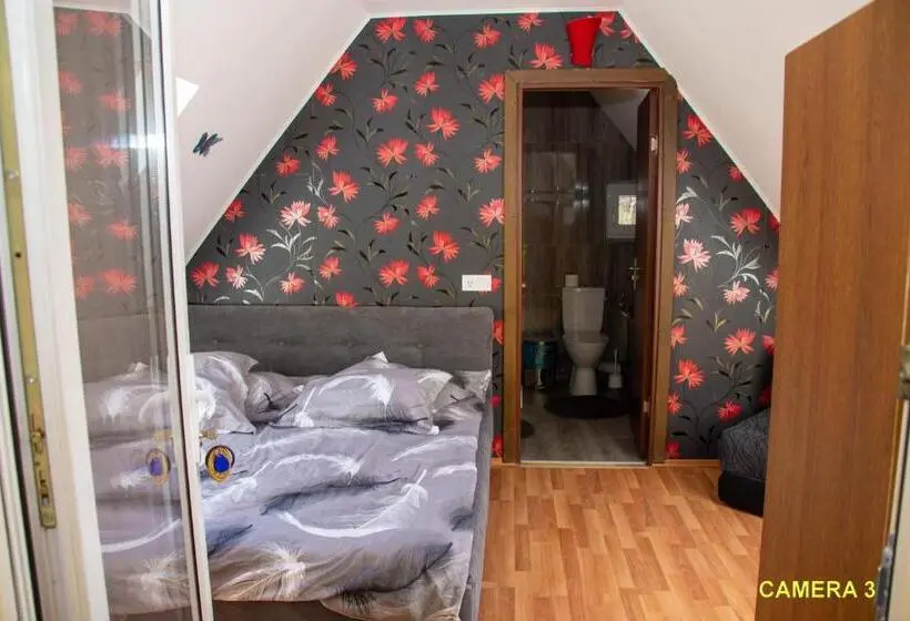 スタンダードルーム, Pensiunea La Sishe Valea Putnei