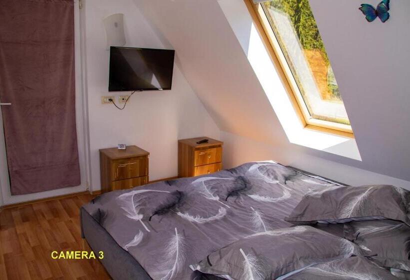 Номер Стандарт, Pensiunea La Sishe Valea Putnei