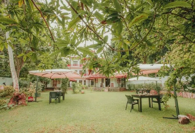 بنگله خانوادگی, Paradise Bungalow