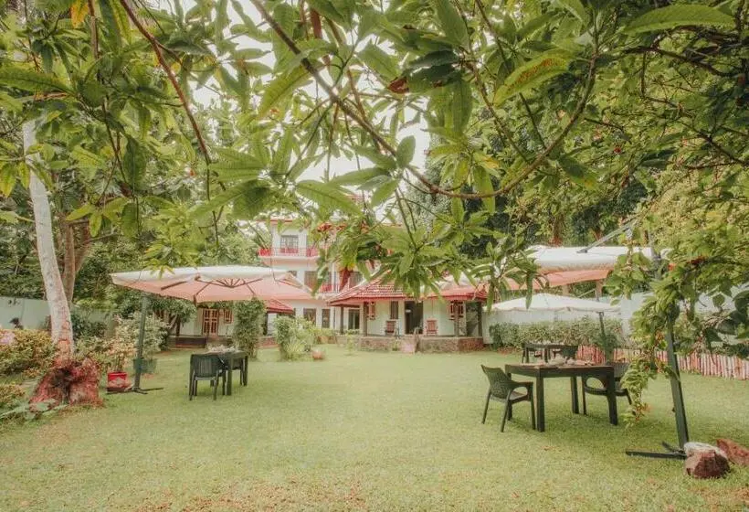 اتاق لوکس با بالکن, Paradise Bungalow