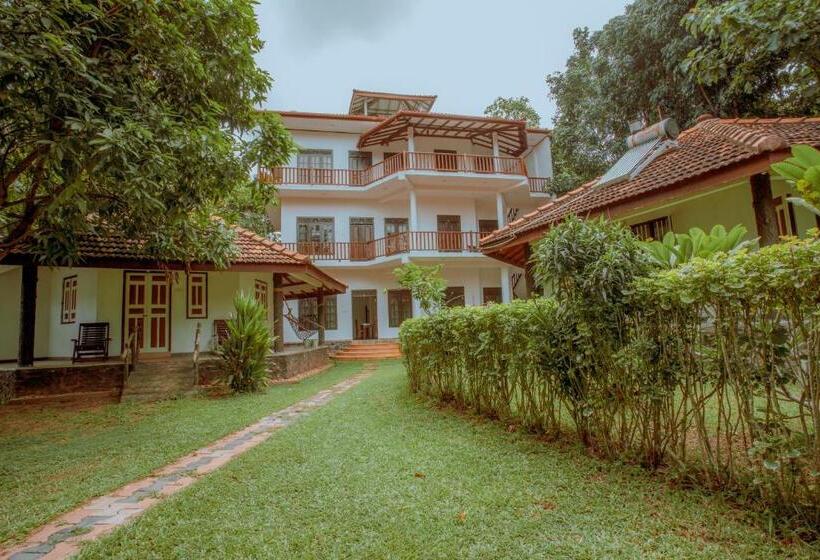 패밀리 룸, Paradise Bungalow