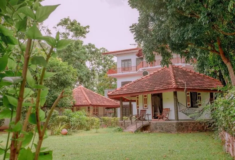 اتاق سوپریور خانوادگی, Paradise Bungalow