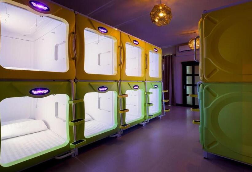 اتاق خانوادگی, Pod Labo 家庭多人高cp 四人起