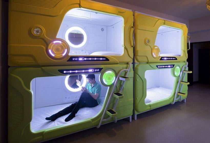 اتاق استاندارد, Pod Labo 家庭多人高cp 四人起