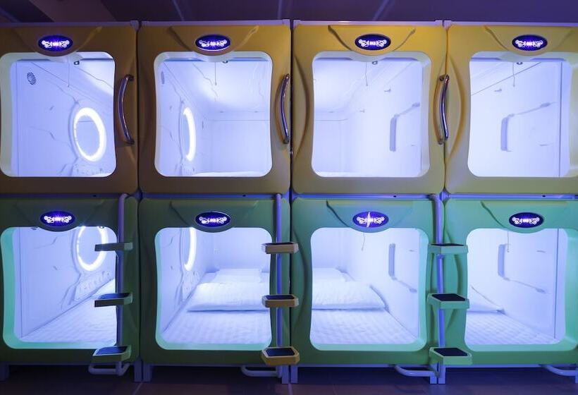 اتاق استاندارد, Pod Labo 家庭多人高cp 四人起