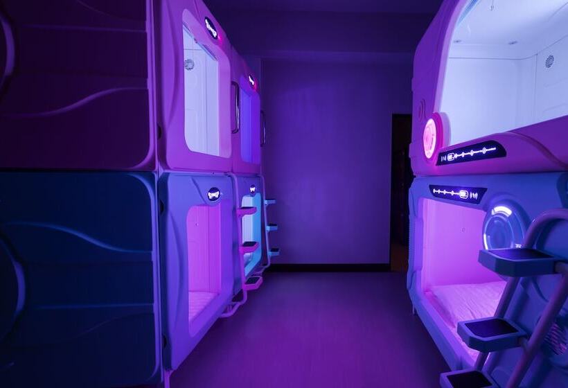 اتاق استاندارد, Pod Labo 家庭多人高cp 四人起