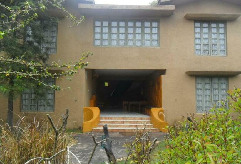 חדר דלוקס, The Celebration Van Vilas