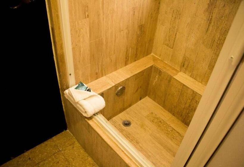 キングサイズベッドのスタンダードルーム, Best Western Hotel Posada Freeman Zona Dorada