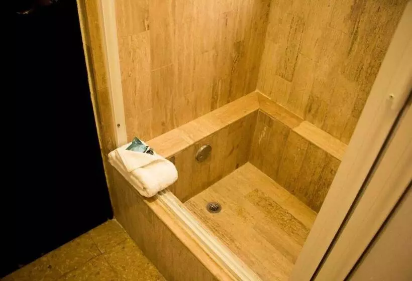 اتاق استاندارد با تخت بزرگ, Best Western Hotel Posada Freeman Zona Dorada