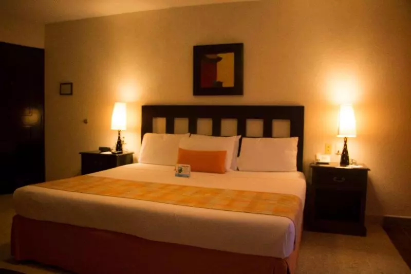 اتاق استاندارد با تخت بزرگ, Best Western Hotel Posada Freeman Zona Dorada