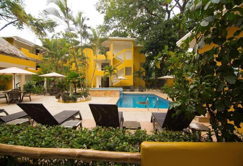 스탠다드 룸 킹사이즈 침대, Chablis Palenque