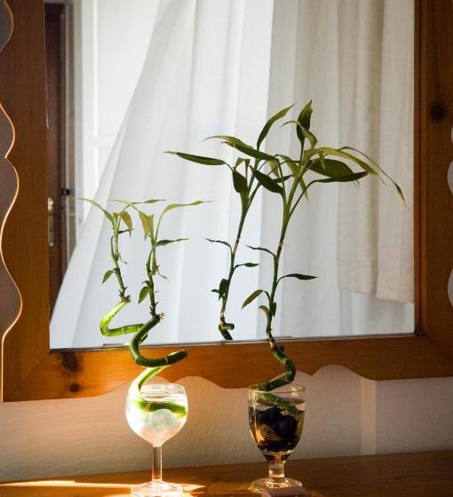 חדר סטנדרט לשלושה, Matina