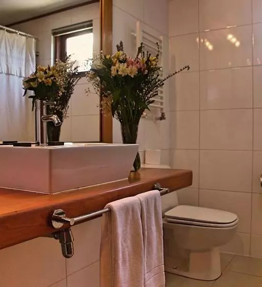 اتاق اجرایی با تخت بزرگ, Puelche