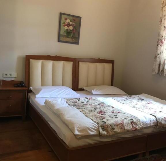 اتاق استاندارد سه نفره, The Ninova