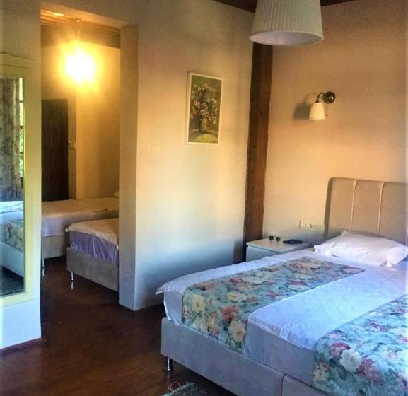 اتاق خانوادگی با چشم‌انداز باغ, The Ninova