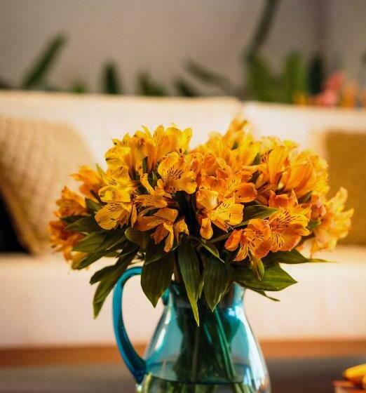 4间卧室的房子, Village Porto De Galinhas