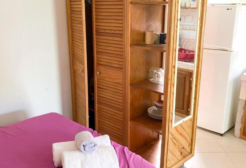استودیوی استاندارد, Coco Mango Suites