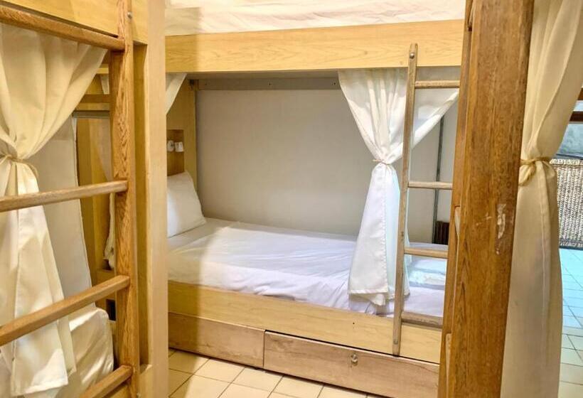 تختخواب در اتاق مشترک, Hostel Boutique Musa Paradisiaca