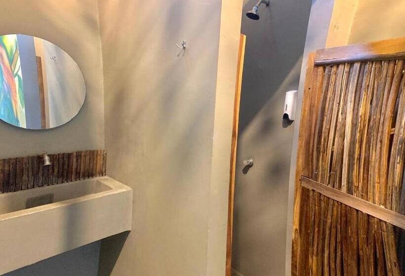 اتاق اکونومی, Hostel Boutique Musa Paradisiaca