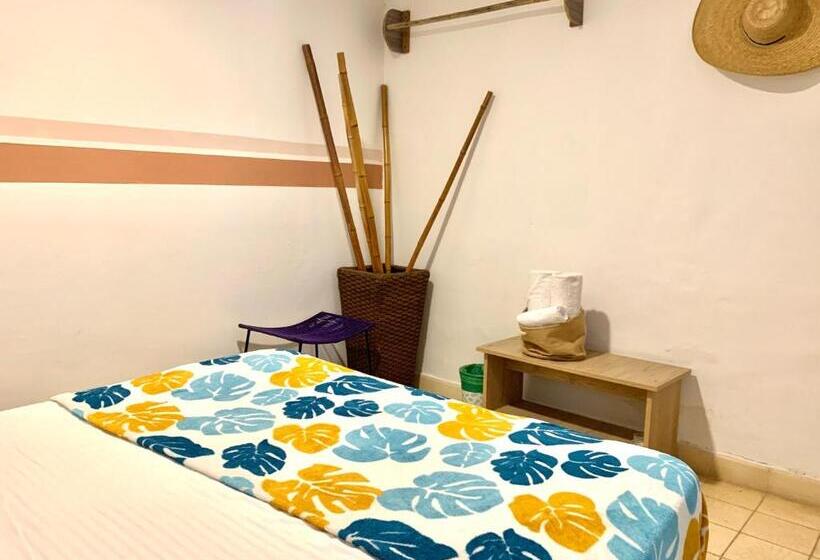 اتاق استاندارد, Hostel Boutique Musa Paradisiaca