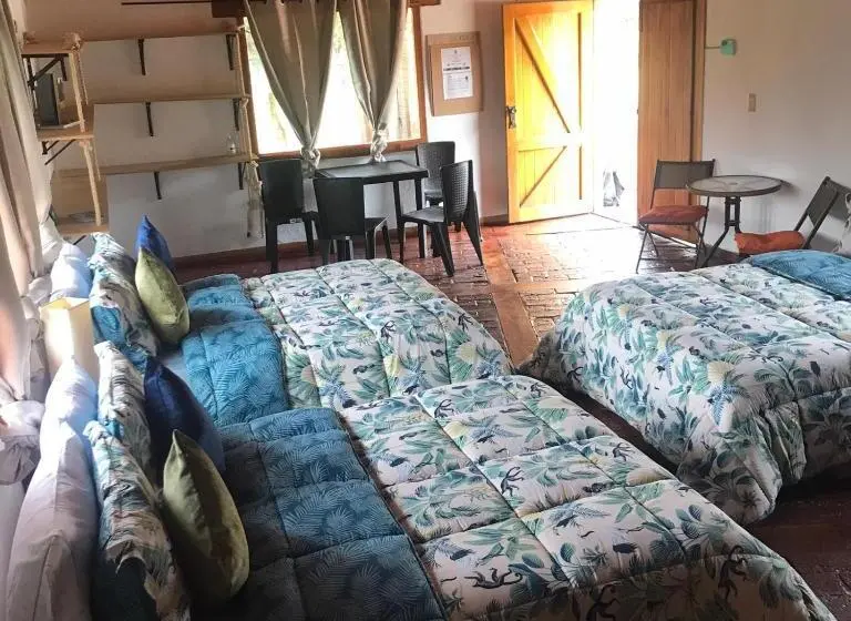 スタンダードルーム, La Isabela Estancia Ecuestre