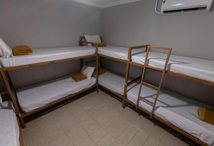 Кровать в Общей Комнате, Hostel Diniz