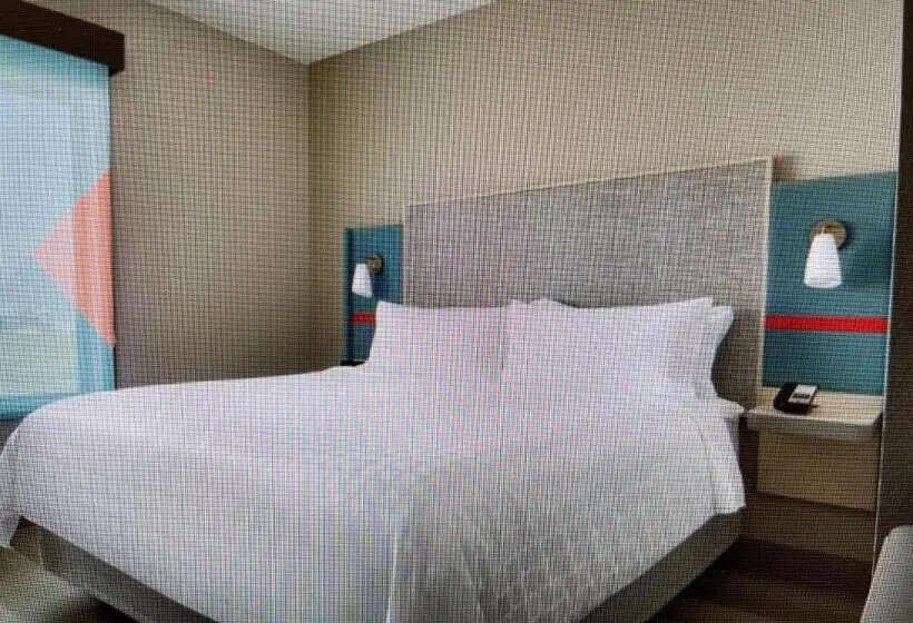 身障者適用キングサイズベッドルーム, Avid Hotels   Detroit   Warren, An Ihg